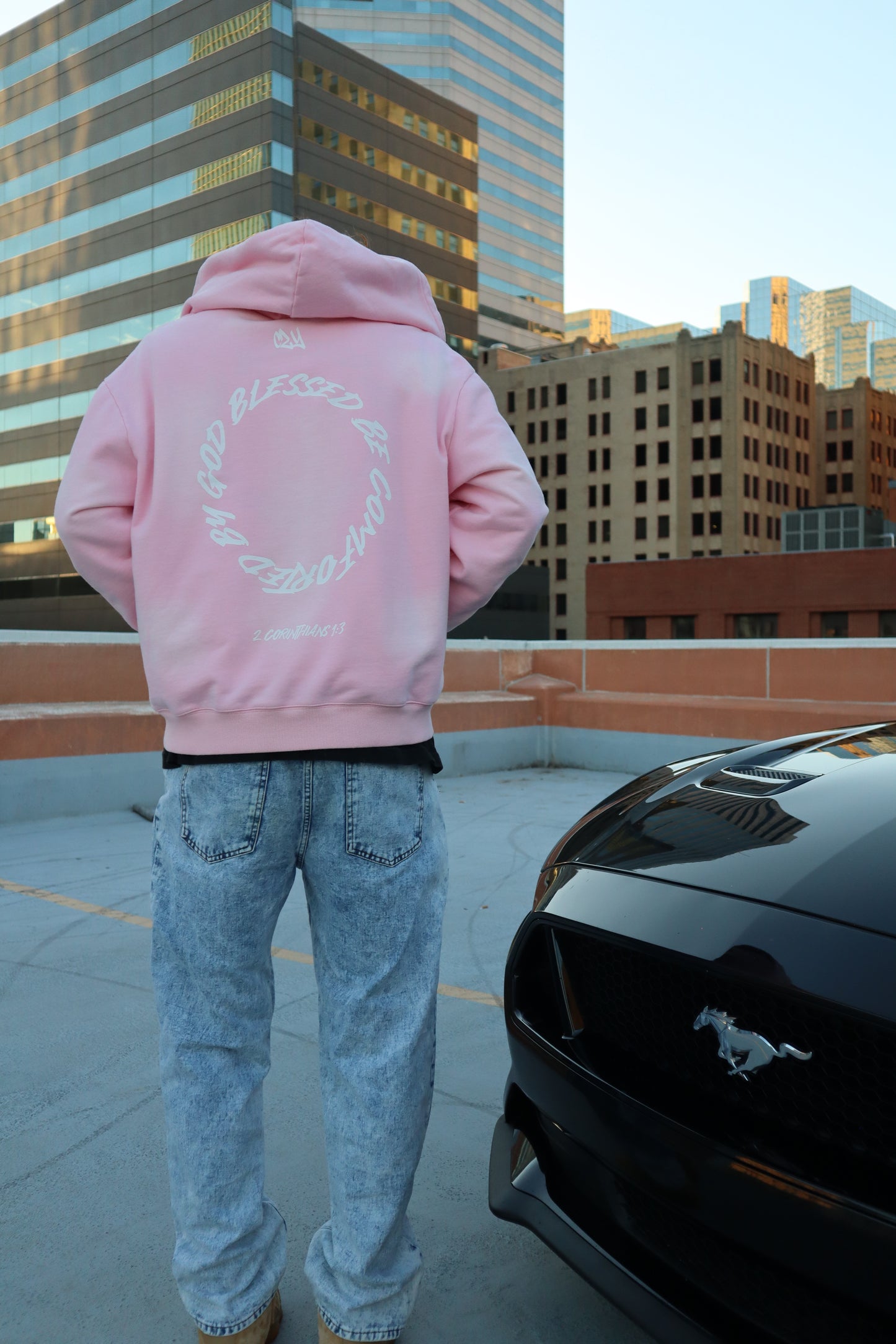 bubblegum zip-up (pre-order)